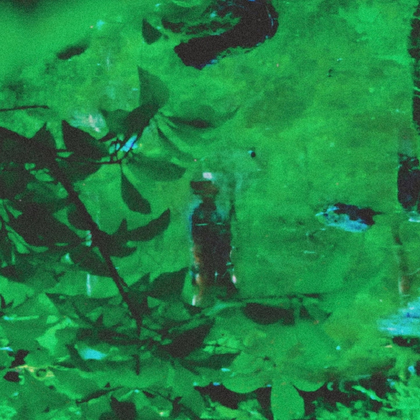 Renzilla - Recovery Mode (Digital Download)